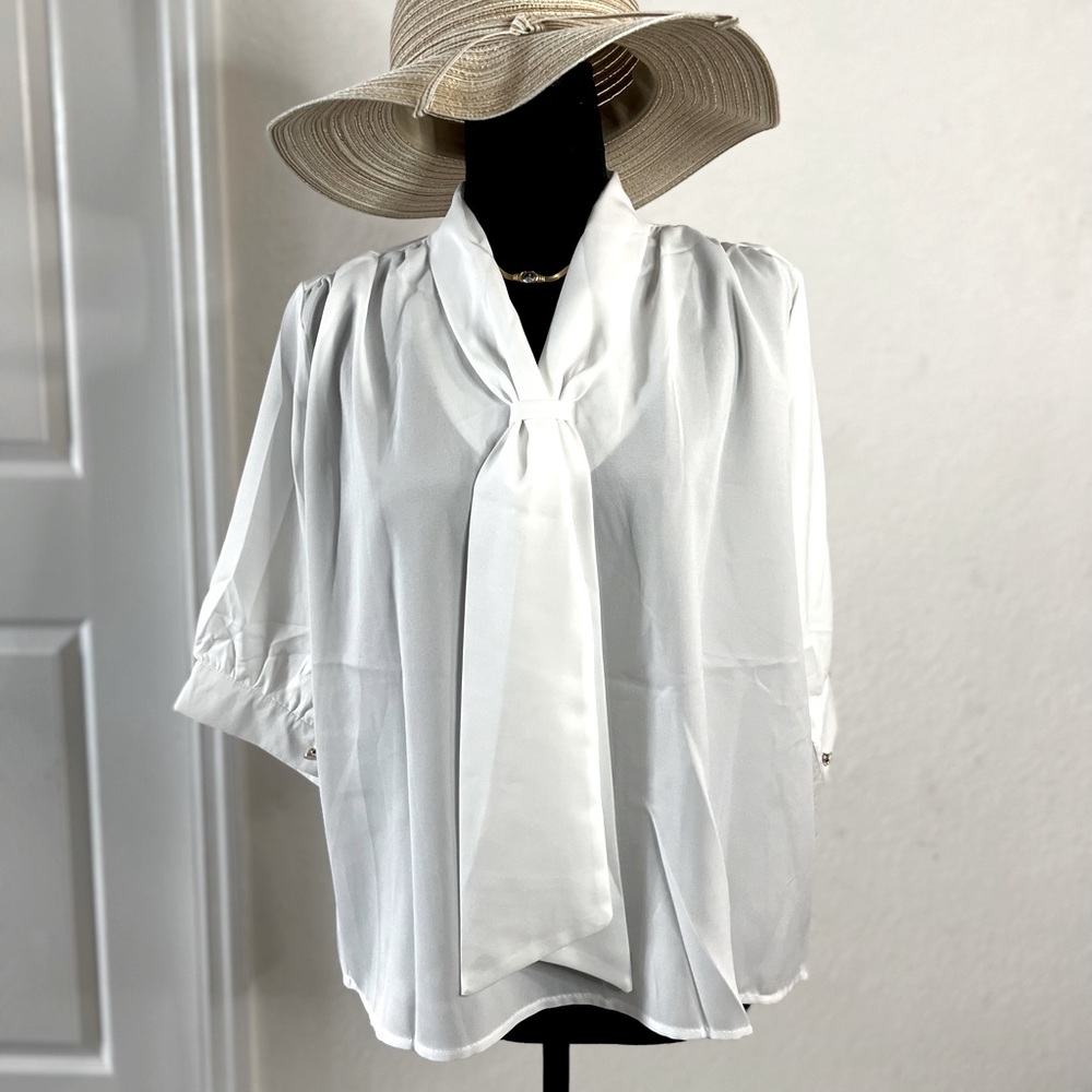 Chiffon Long Sleeve